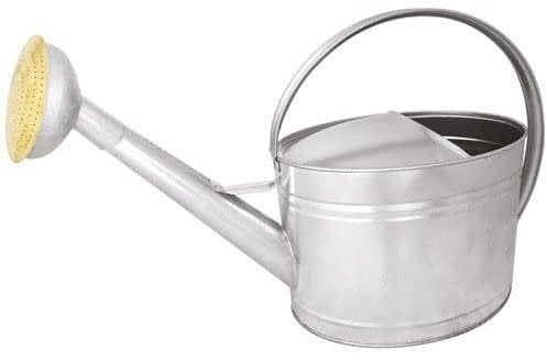 ARROSOIR 10L Acier GALVA - Pomme GALVA Grille Laiton, Gris