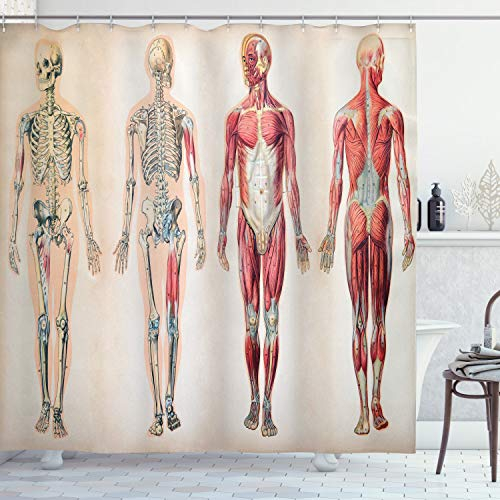 ABAKUHAUS Jahrgang Duschvorhang, Anatomie Menschlicher Körper, Stoffliches Gewebe Badezimmerdekorationsset mit Haken, 175 x 180 cm, Creme Rubin