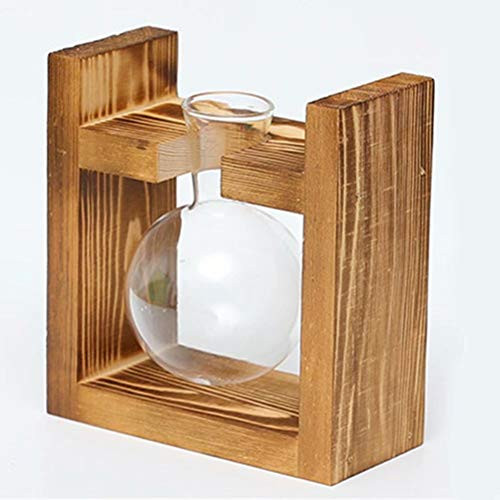 Hydrokultur-Behälter für den Schreibtisch, Glas-Pflanzgefäß, Blumenzwiebel-Vase mit massivem Holzständer für die Vermehrung von Hydrokulturen, Pflanzen, Zuhause, Garten, Hochzeitsdekoration