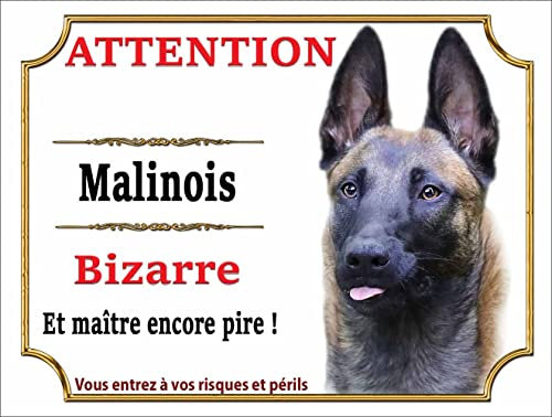 Plaque humour Attention Chien bizarre en métal Aluminium 15 cm x 20 cm - panneau berger belge malinois bizarre monte la garde,pancarte attention malinois