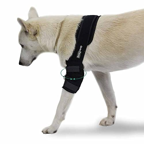 Ortocanis - Ellenbogenbandage für Hunde - Ellenbogenschoner für Linkes - Bei Arthrose im Ellbogen - Hilft Schmerzen und Entzündungen zu reduzieren - Größe: L 20.6-25 cm