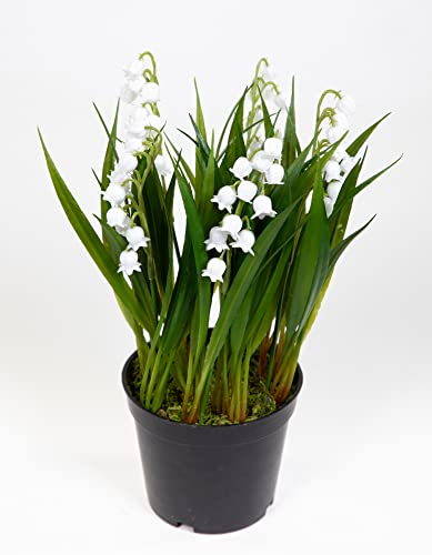 Seidenblumen Roß Maiglöckchen 22cm weiß im Topf JA Galanthus Kunstblumen künstliche Blumen Pflanzen