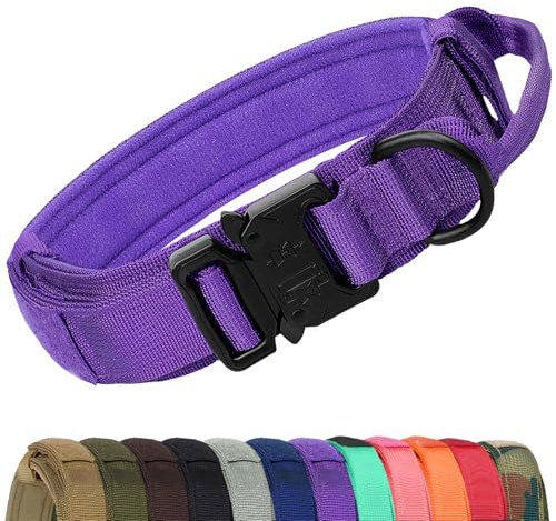 Joytale Taktisches Hundehalsband mit Griff Halsband Hund 3.8 cm Breit Hundehalsband für Große Hunde Verstellbar aus Nylon, Lila, L