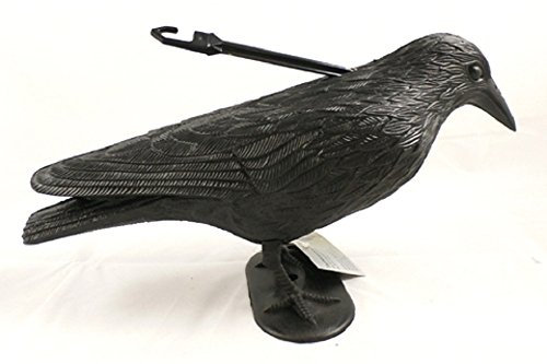 Taubenschreck Vogelschreck - Rabe - 40cm Dekofigur für den Garten