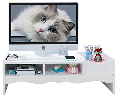 Computer Monitor Stand Riser,Laptop Riser with Cable Management,Office Desk Shelf for TV,Notebook,PC,Desktop Storage Organiser