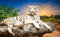 YJPZZG Puzzles für Erwachsene, 1000 Teile, Lernspiele, weißer Tiger, Kollektion Challenge, Impossible Jigsaw Puzzle