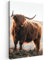 MuchoWow© Leinwandbild 40x60 cm Dekoration Wohnzimmer Bilder Aufhängen Wall Decoration Living Room Wohnungs Deko Moderne Schottisches Hochlandrind - Highland Cow - Tiere - Landschaft - Kuh