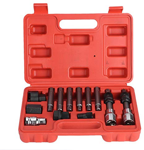 13Pcs / Set Lichtmaschinen Bit-/Bit-Einsatz-Satz, Generator Freilauf-Ausbau-Set Lichtmaschine Wechsel Steckschlüssel Werkzeug Set zum Entfernen der Riemenscheibe Werkstatt-Service-Kit