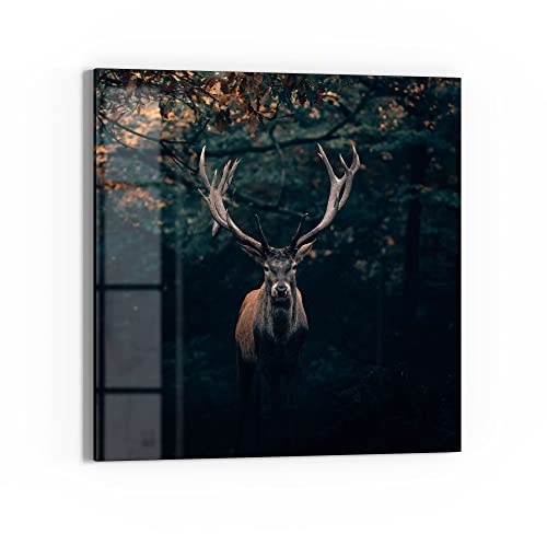 DEQORI Glasbild Echtglas | Motiv Elch im Teutoburger Wald | quadratisch einteilig 50x50 cm | schöne Dekoration | Wandbild für Wohnzimmer, Schlafzimmer, Flur & Küche | moderne Wanddeko