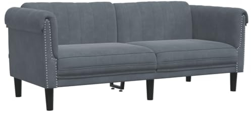 vidaXL Sofa, Polstersofa 2-Sitzer mit Stützbeinen, Zweisitzer Loungesofa Designsofa für Wohnzimmer, Couch Wohnzimmersofa, Dunkelgrau Samt