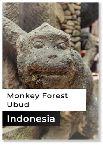 Moneky Face Statue at Monkey Forest Ubud, Bali, Indonesien, Design 4, Kühlschrankmagnet