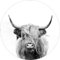 Pro-Art Glasbild Scottish Highland Cattle III, rund 50 cm