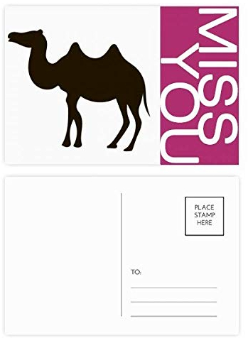 Postkarten-Set, Motiv: schwarzes Kamel, 20 Stück