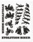4R Quattroerre.it 9172 Kit Adventure Stickers Adesivi per Bauletti Moto Evolution Biker, 20 x 24 cm