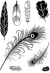 efco Clear Stamps Federn 8 Stk Silikon Stempel Motivgröße 0.9-3.7 cm Ganzjährig für Grußkarten Einladungen Scrapbooking Geschenkverpackungen Papiertüten Tags Motivstempel Reinigung empfohlen