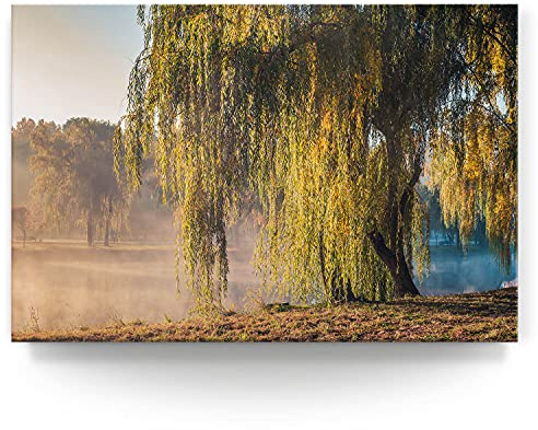 BilderKing Wandbild Trauerweide am Fluss - 120cm x 80cm Leinwand auf Fertigrahmen + Aufhänger