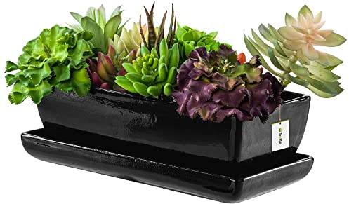 botle Blumentopf Blumenübertopf Schwarz Kaktenschale mit Untersetzer Rechteck LxBxH 15 cm x 29 cm x 9 cm Oberfläche Glanz Kakten Keramik Modern Glamour
