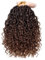 Mscat 8 Packs 10 Inch Faux Locs Crochet Hair Short Bohemian Goddess Locs Crochet Braids Pre Looped Ombre Hippie Locs With Curly Ends Hair Extension (14Strands/Pack T30#)