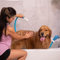 Rinseroo Badewannen-Wasserhahn-Sprühaufsatz Ultra-Flex Slip-On Hund Brauseschlauch Adapter Tragbarer Schlauchaufsatz mit Sprüher, Haustier-Duschkopf Befestigung Wannenauslauf 1,5 m Schlauch, keine