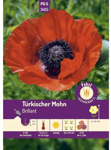 Pabst Keimkraft - Türkischer Mohn Brillant Samen - 173465