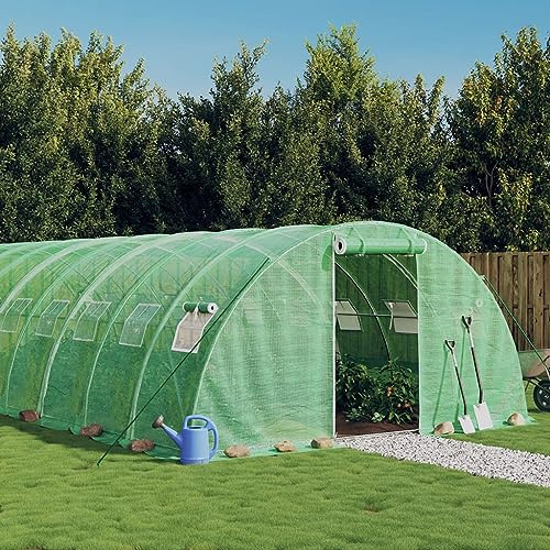 Solivagant Serre avec Cadre en Acier Vert 32 m² 8x4x2 m,(50.9 KG)