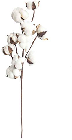 Fangfeen Rama de algodón Stem Flor Artificial 10 Jefes de Gossypium pétalos de Flores secas Naturales Artificiales White Decoration for vases Home Weddings Parties Table Kitchen Desk Restaurant
