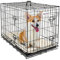 MaxxPet Hundebox Metall, Hundebox für Zuhause, Hundekäfig Groß, Mit 2 Türen, Gitterbox Große Hunde, Faltbare Dog Crate Mit Hundekissen, Hundehütte Indoor, Outdoor 91x57x64cm, Schwarz