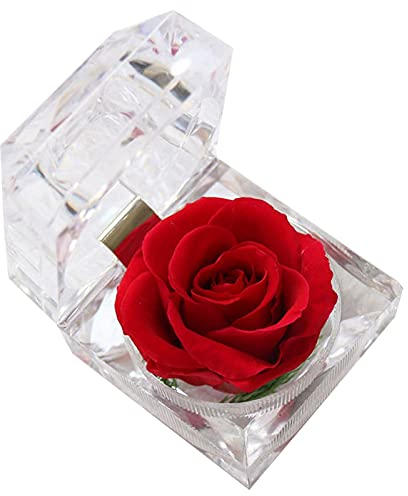 OLACD Rosa artificiale decorativa realistica in scatola acrilica – finta rosa singola per un'atmosfera romantica