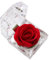 OLACD Realistische dekorative künstliche Rose in Acryl-Box – künstliche einzelne Rose für romantisches Ambiente