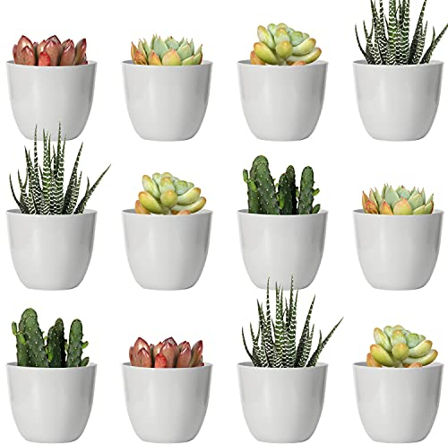 Youngever 24 Paquetes Macetas de Plástico con Platillo 5CM, Jardinera de Plástico con Platillo, Macetas Decorativas Modernas con Drenaje Pare Todas Las Plantas de Interior (Round, Grey)