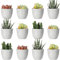 Youngever Lot de 24 Mini Pots de Fleurs en Plastique de 5 cm, Pots de Fleurs d'intérieur Gris avec Drainage, Plantes Non incluses (Moderne)