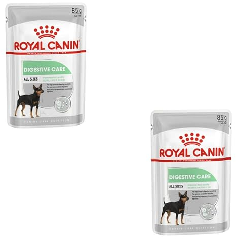 Royal Canin Digestive Care | Doppelpack | 2 x 12 x 85 g | Nassfutter für ausgewachsene Hunde | Ab dem 10. Lebensmonat | Für Hunde mit empfindlicher Verdauung geeignet