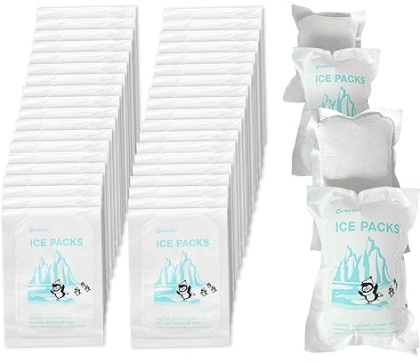 World-Bio 20 × Eisbeutel für den Versand, Wiederverwendbare dünne Trockeneis Beutel, gefroren, halten Lebensmittel frisch und Trinken kalt, Gefrorene Gelbeutel Ice Brix für Kühler, Größe - 4,7x 3,3