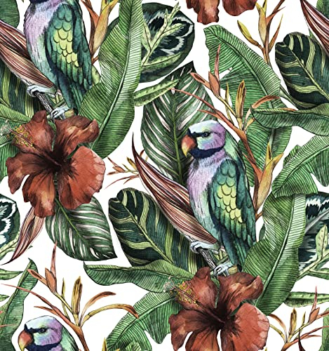 ReWallpaper Tapete Grün Blätter Fototapete Dschungel Vögel Tapete Badezimmer Wasserfest Tapete Wohnzimmer Ideen Klebetapete Selbstklebend Wand Mustertapete Floral 44,5CM x 3M