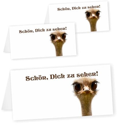 Unser-Festtag 10 Tischkarten mit Motiv Vogel Strauß. Größe aufgestellt 9,8 x 4,9 cm. Ausgefallen, Lustig und passend zur Tischdekoration zum selber beschriften