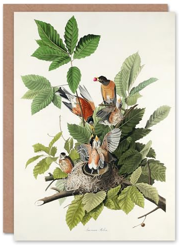 Artery8 John James Audubon Art Card American Robin Birds Nest
