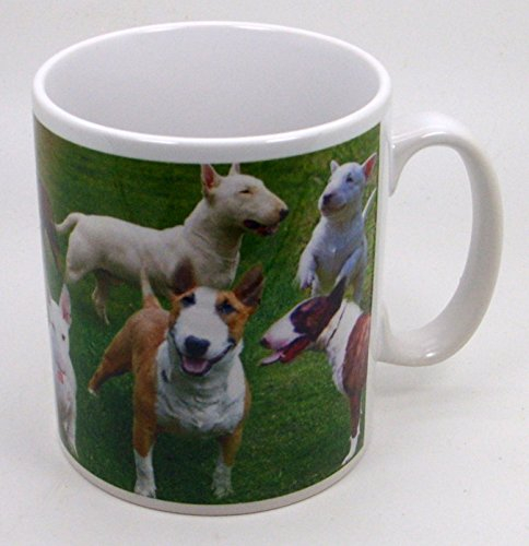 The Plate Collectors Shop ENGLISH BULL TERRIER CERAMIC/POTTERY COLLAGE 10.5 0Z MUG ~ HAND DECORATED IN STOKE ON TRENT