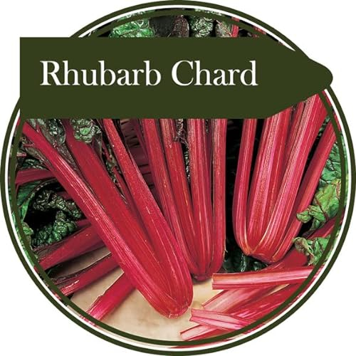 50 Seeds Rhubarb Chard. Producing an Interesting Change for Leaf Beet. Bright red Rib, Green and red Leaves