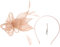 FRCOLOR Wedding Fascinator Hat Tea Party Headpieces 20s Pillbox Hat Cocktail Headwear Flower Mesh Plumes Clips for Women