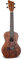 GEWA Concert Ukulele Wildlife Crazy Turtle K-CO-TUR