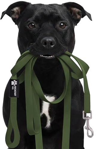 Reichstadt Pets Robuste PVC texturierte Hundeleine für Hunde – wasserabweisend, rutschfeste Oberfläche | 360° Edelstahl-Karabiner, pflegeleicht & wetterfest 25RSP085 Green 15m