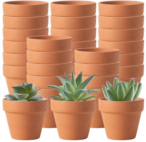 Joygoodta Mini Pots en Terre Cuite, 30 Petits Pots en Argile pour Plantes, 5x4cm avec Trou de Drainage pour Plantes succulentes, semis, décoration de la Maison