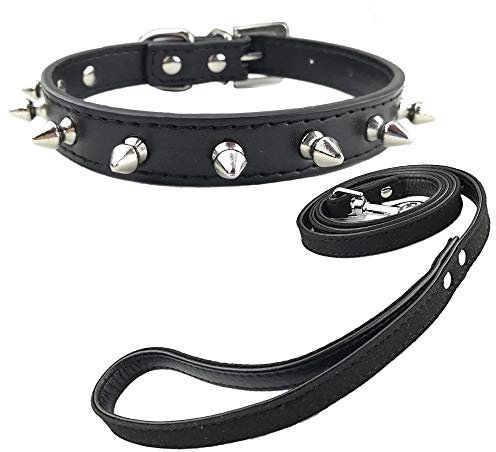 Newtensina Mode Welpen Halsband und Leine mit Nieten Punk Nieten Halsband mit Leine für kleine Hunde