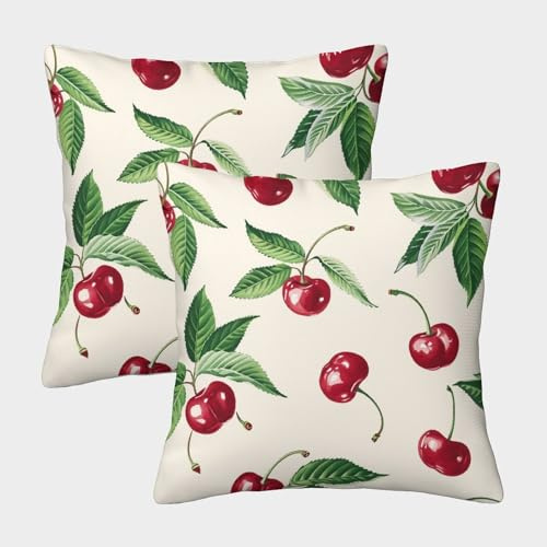 RJAVAGFZL Cherry Cushion Cover Set of 2 Decorative Machine Washable Pillowcases Square Cushions with Invisible Zipper Cushion Covers for Outdoor Home Bed Decor Throw Pillow Case 45x45cm