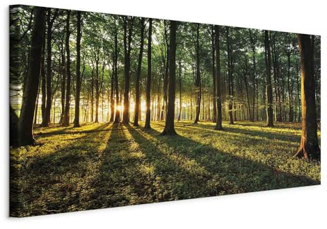 B&D XXL - Leinwandbild Natur Wald Landschaft, 120x60 cm, 1-teilig, modern | Hochwertige Leinwand, sofort aufhängbar, ideal fürs Wohn- oder Schlafzimmer, wasserfest und lichtecht, langlebig, stilvoll