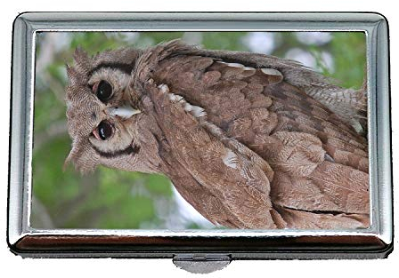 Zigarettenetui, Eule und Pussycat Riesen-Uhu, Visitenkartenetui Visitenkartenetui Edelstahl
