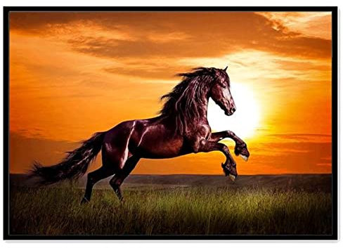 Diamond Painting, DIY Kinder Diamant Painting Bilder, Tier Pferd Sonnenuntergang 5D Erwachsene Groß Vollbohrer Diamant Malerei Cross Stickerei Malerei Kits, Wohnwand Wand Dekoration Geschenk 80x120cm