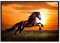 Diamond Painting, DIY Kinder Diamant Painting Bilder, Tier Pferd Sonnenuntergang 5D Erwachsene Groß Vollbohrer Diamant Malerei Cross Stickerei Malerei Kits, Wohnwand Wand Dekoration Geschenk 80x120cm