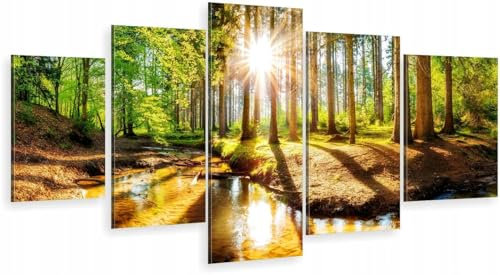 HUBDECO 5-Teiliges Leinwand Bild Wohnzimmer - Bilder, Poster, Kunstdrucke - Leinwandbild - Bild auf Leinwand - Tolle Zimmerdekoration - Schlafzimmer Bilder - 158x90 cm Wald Sonne