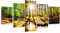 HUBDECO 5-Teiliges Leinwand Bild Wohnzimmer - Bilder, Poster, Kunstdrucke - Leinwandbild - Bild auf Leinwand - Tolle Zimmerdekoration - Schlafzimmer Bilder - 158x90 cm Wald Sonne